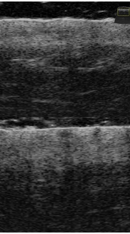 3-min (6)