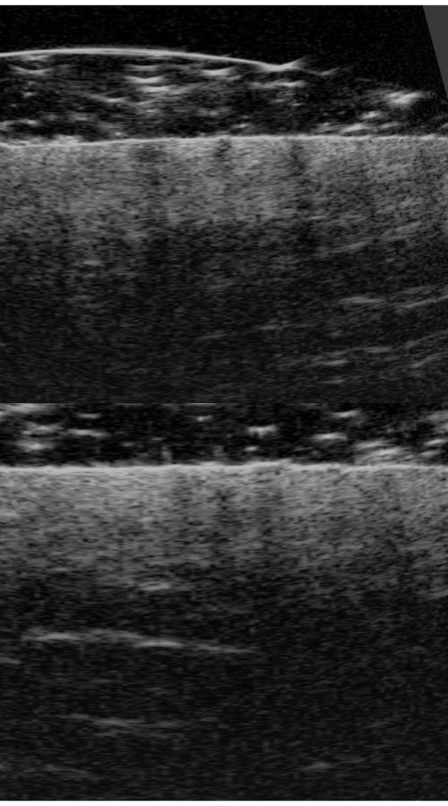 4-min (4)